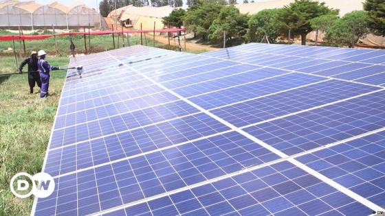 Energía solar para la floricultura en Kenia