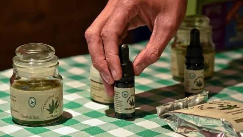 Córdoba oficializa la adhesión a la ley nacional del uso medicinal del cannabis