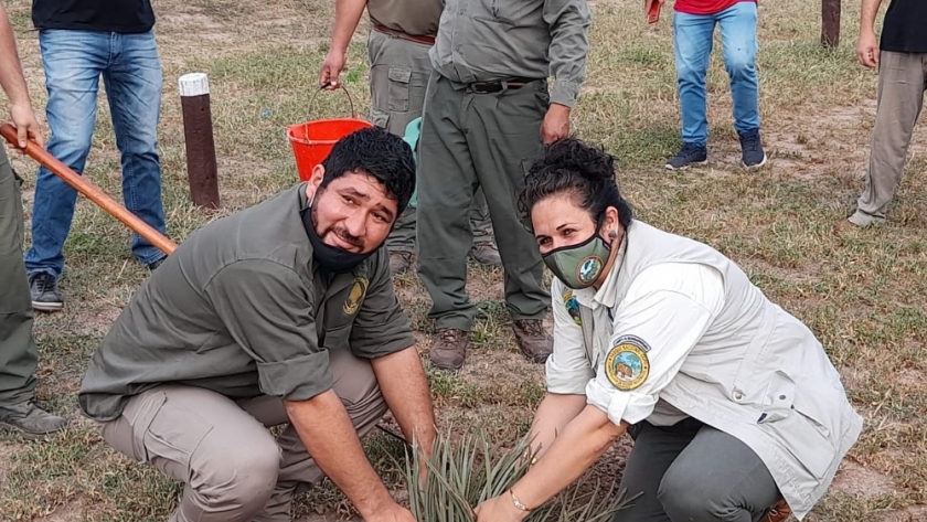 Plantación conmemorativa al Día de los Bosques