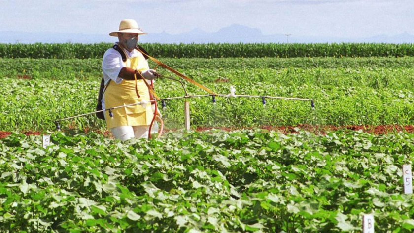 La agricultura en Brasil logró récord de cosechas