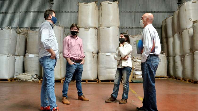 Gestionan la reactivación de exportadores de té