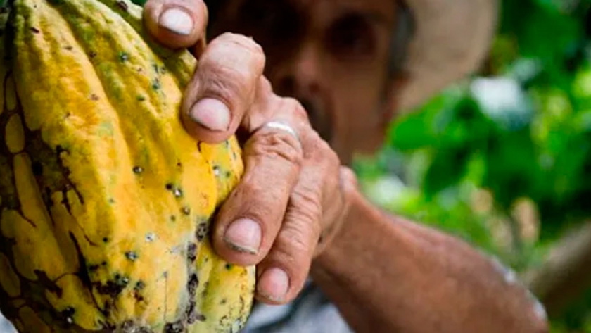 Una fintech creó un modelo alternativo de financiamiento para pequeños productores