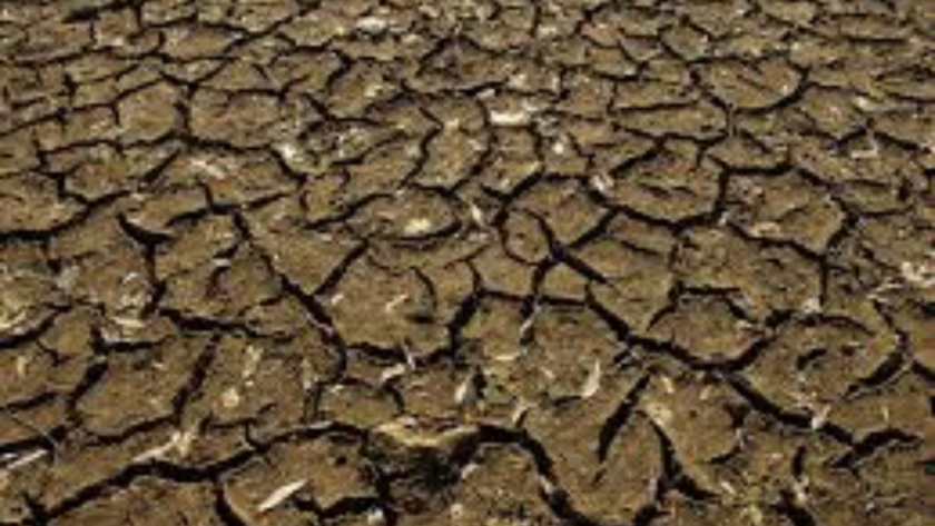 Aprueban perfiles de proyecto de mitigación de riesgos ambientales en Misiones por $920 millones