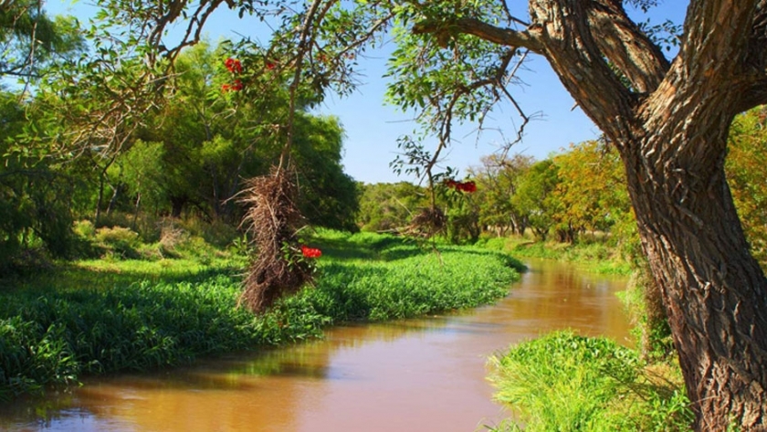 Parque Nacional Pre Delta