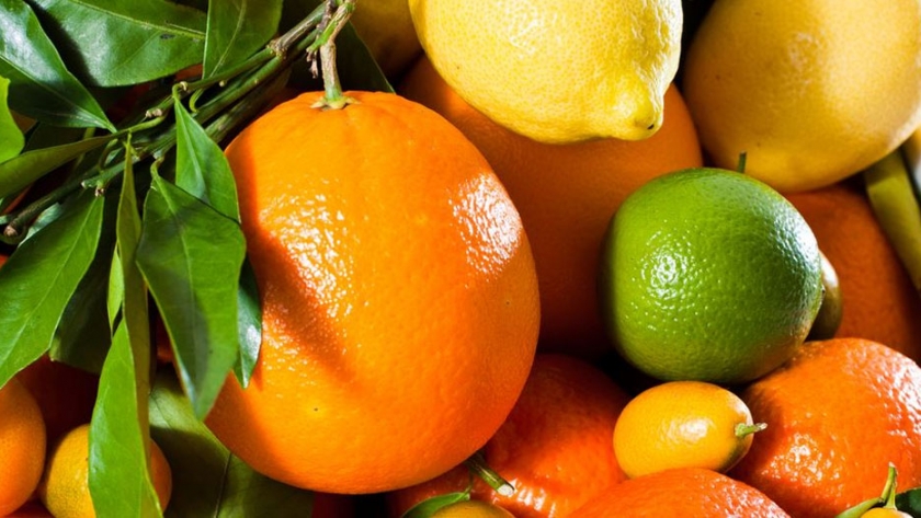 Alerta en la producción de limones y naranjas