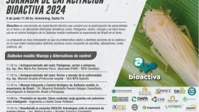 AgroActiva propone un encuentro técnico para enfrentar el problema de La Chicharrita