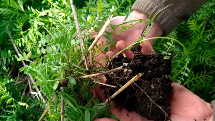 Huella de Carbono en cultivos extensivos: ¿dónde están los principales focos de emisiones?