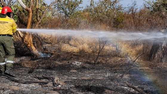 No cesan los Incendios Forestales en la provincia