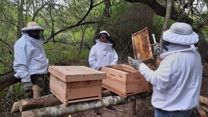 Casi el 50 % de los hogares del mundo tiene relación con sistemas agroalimentarios