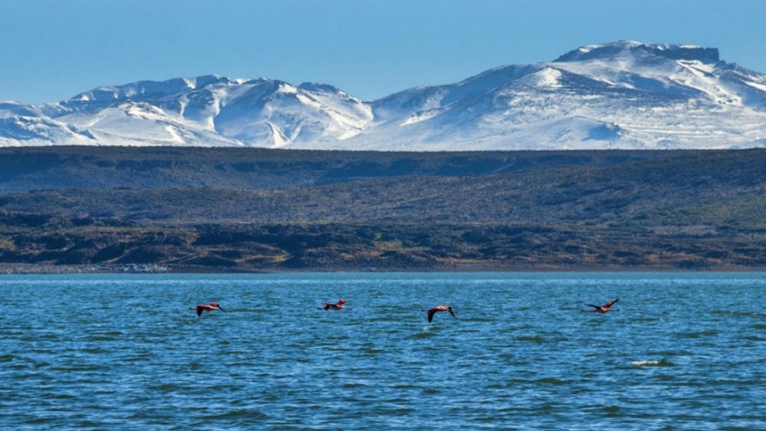 Trabajan para preservar la biodiversidad de la provincia