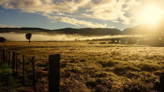¿Es la agricultura regenerativa el futuro de la agricultura de Nueva Zelanda?