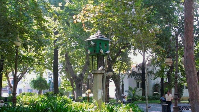 Un árbol es igual a 8 aires acondicionados