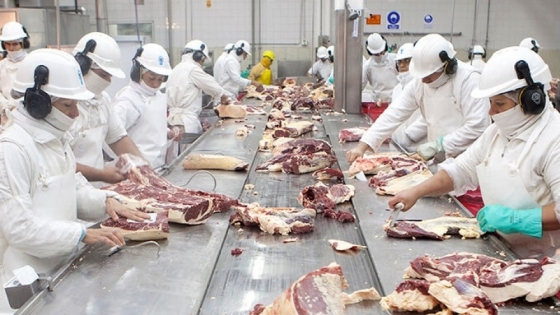 <La Argentina concretó la primera exportación de carne bovina con hueso a Israel