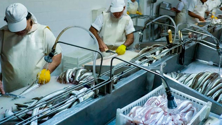 Merluza a Brasil: mejora demanda luego de una fuerte retracción