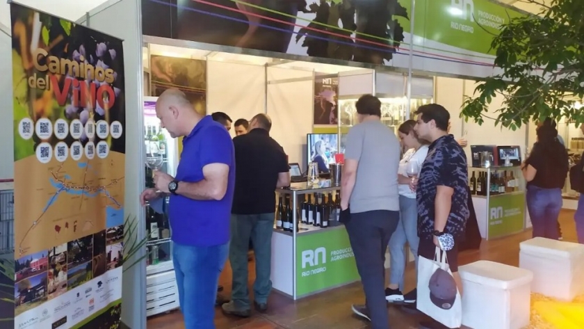De Río Negro al país: vinos y sidras de producción provincial se robaron todas las miradas en Córdoba