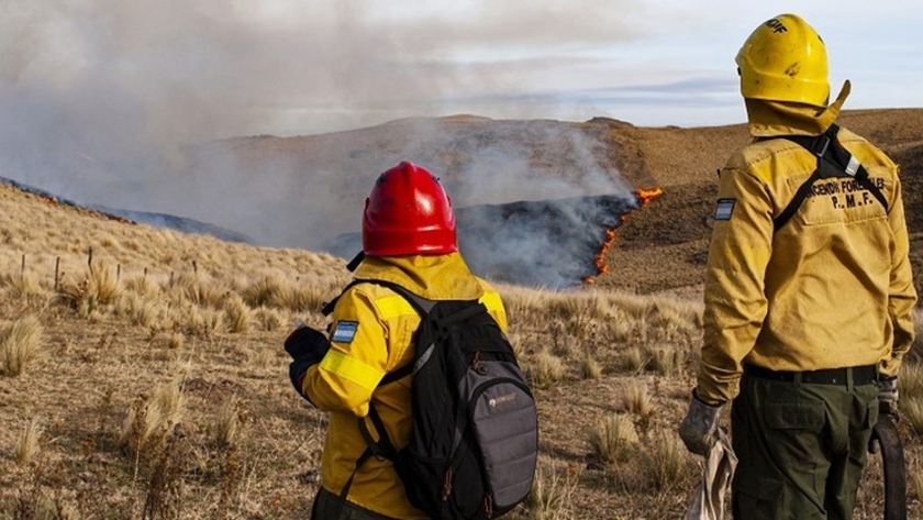 Incendios forestales: La región transita su estación seca