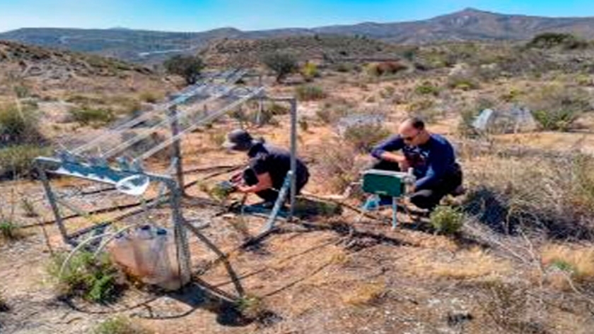 El cambio climático podría frenar la reproducción de las plantas mediterráneas