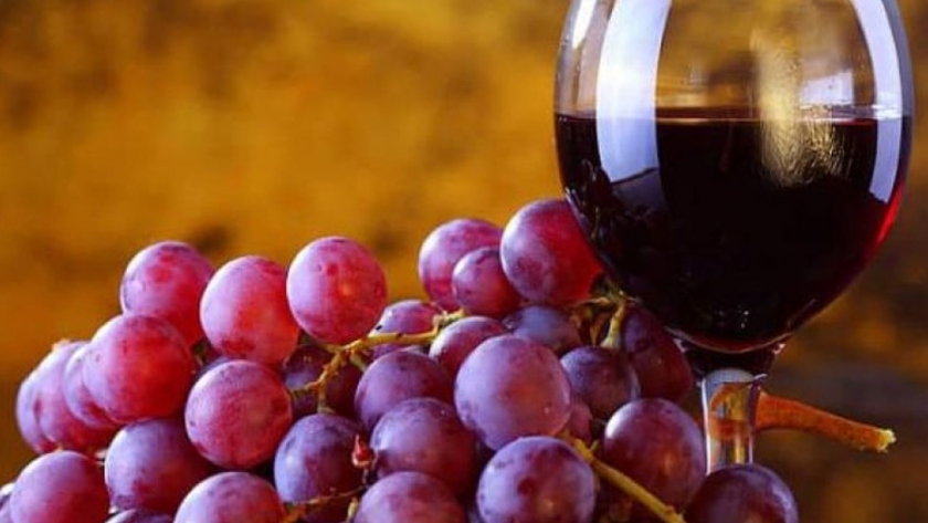 Día del Vino Argentino Bebida Nacional: Agricultura destacó la recuperación del sector tanto en el mercado doméstico, como en las exportaciones