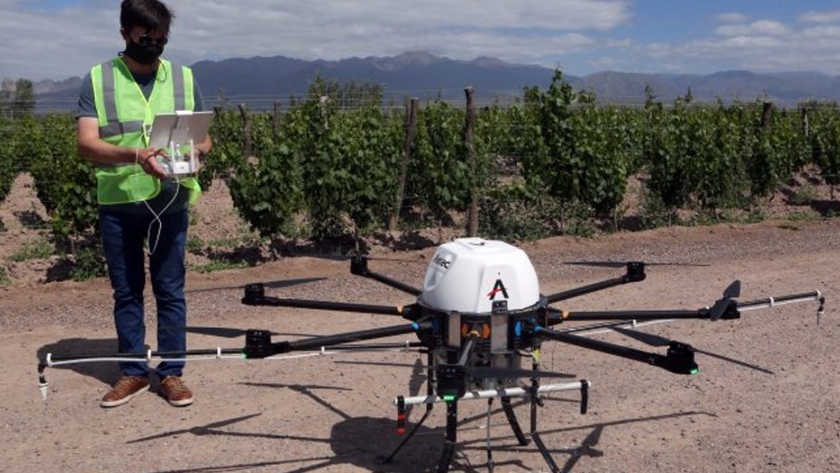 Polilla de la Vid: Iscamen utiliza drones de precisión para el control de la plaga