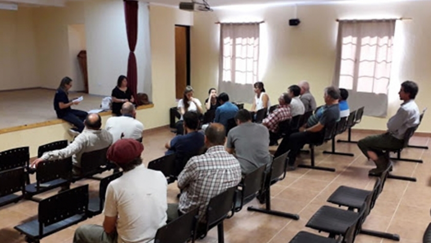 Avanza el plan de control para evitar la propagación de la plaga de tucura