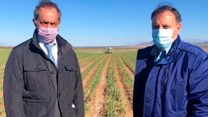 La recorrida de Scioli en San Juan y La Rioja: viñedos, ajo y exportaciones a Brasil