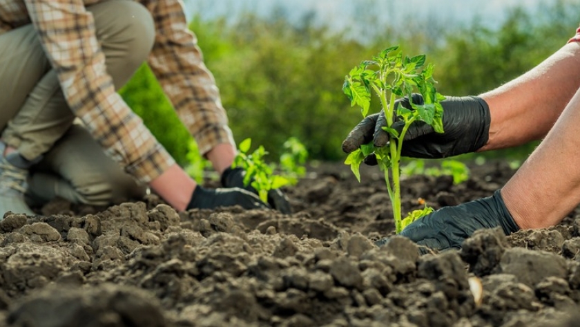 La Provincia continúa trabajando en la implementación del Programa de Agricultura Familiar