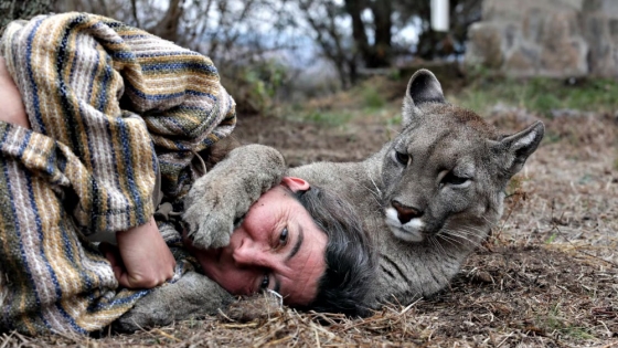 Pumakawa: conservación de pumas en la era del conflicto humano-animal