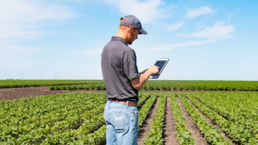 Trabajar conectado en el medio del campo: una agtech “experta” en ayudar a la toma de decision
