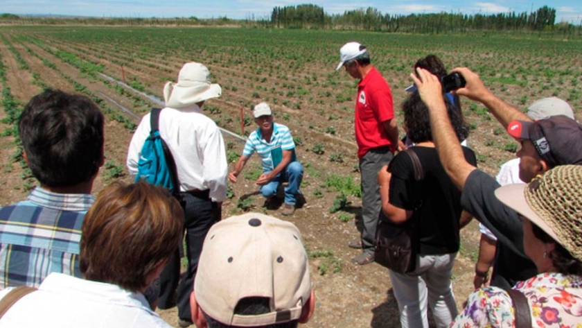 Productores de Chile visitaron emprendimientos de fruta fina en Neuquén