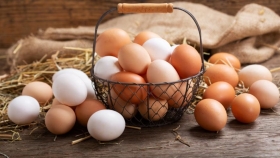 El huevo, proteína clave en la mesa argentina: récord de consumo, hábitos de compra y proyección internacional