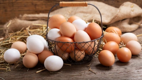 El huevo, proteína clave en la mesa argentina: récord de consumo, hábitos de compra y proyección internacional