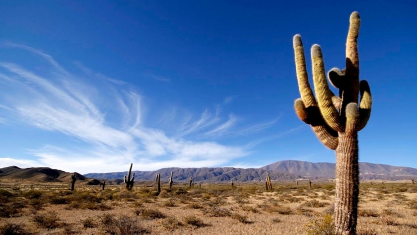 Los Cardones: un parque lleno de colores e historia