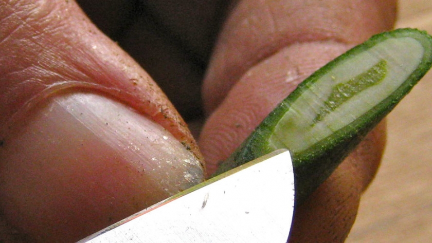 Capacitación virtual para EFAs y Agrotécnicas sobre 