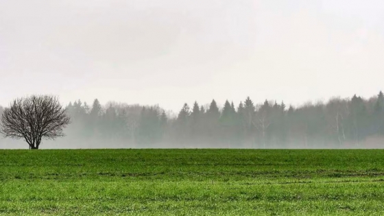 Lluvias abundantes y descenso térmico marcarán el clima en la región agrícola durante mayo