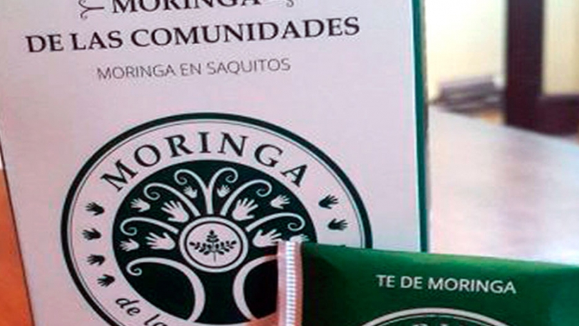 En Salta, promueven la elaboración artesanal de té de moringa     