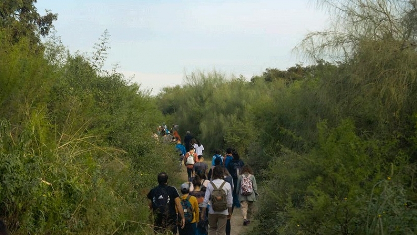 En el Día del Ecoturismo: senderos de los humedales, muestra de biodiversidad