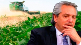 Soja : festeja el gobierno precios récord