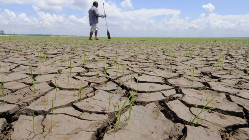 El riesgo climático, una amenaza latente para los ciclos agrícolas