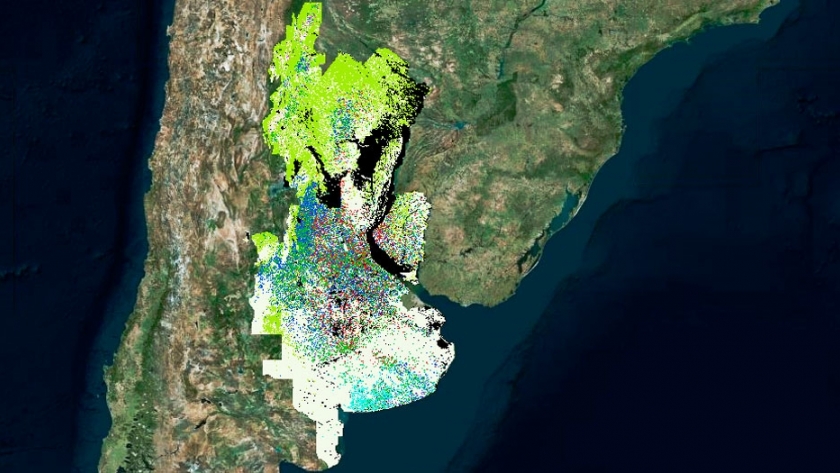 Argentina crea el primer mapa de cultivos de amplia extensión