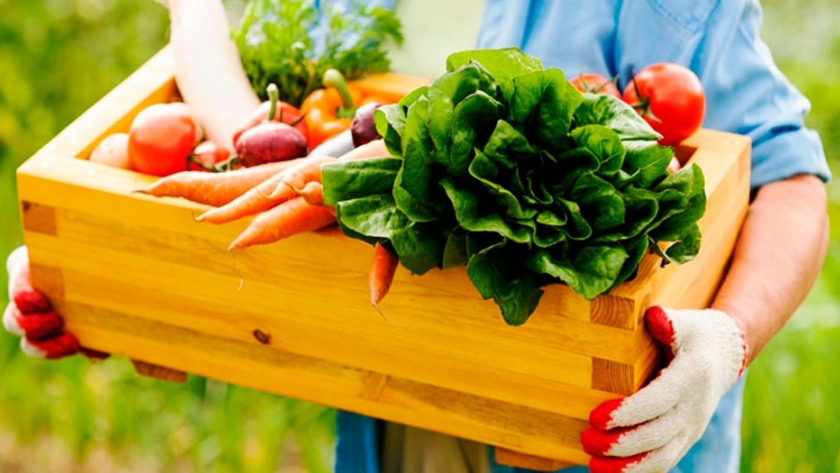 Agricultura familiar: nuevo protocolo para la comercialización y el transporte de bolsones 
