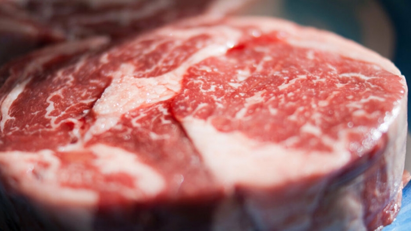 Bolivia mejora su status sanitario para exportar carne