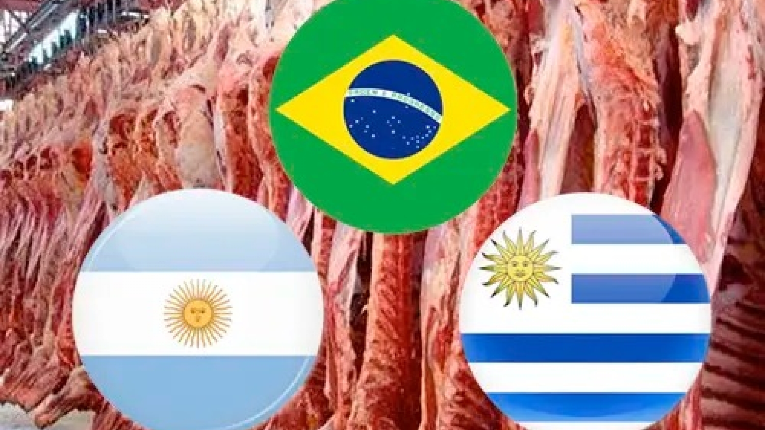 La carne vacuna del Mercosur queda al margen de los nuevos aranceles de EE.UU. y sostiene su acceso a un mercado clave