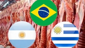 La carne vacuna del Mercosur queda al margen de los nuevos aranceles de EE.UU. y sostiene su acceso a un mercado clave