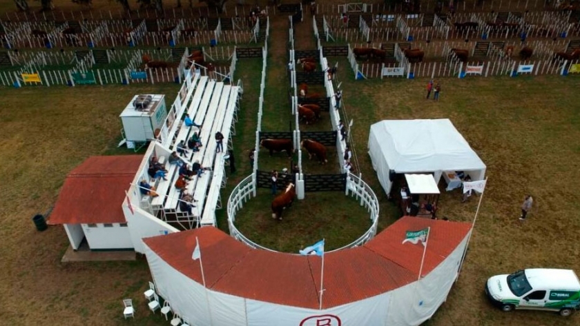 Cabaña Jotabe realizó una vez más el remate Hereford más grande de la Argentina