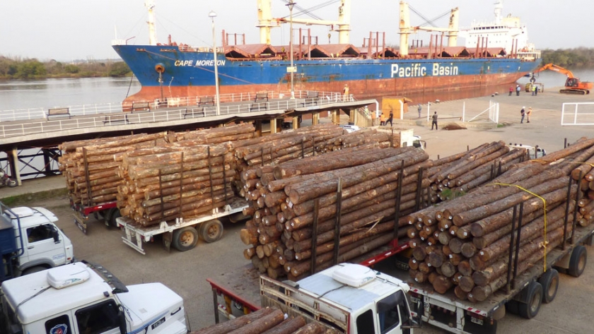 Los puertos ya han generado 815 millones de pesos y más de 1500 puestos de trabajo para los entrerrianos