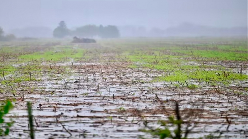 Se esperan nuevas lluvias sobre el norte y sudoeste del área agrícola