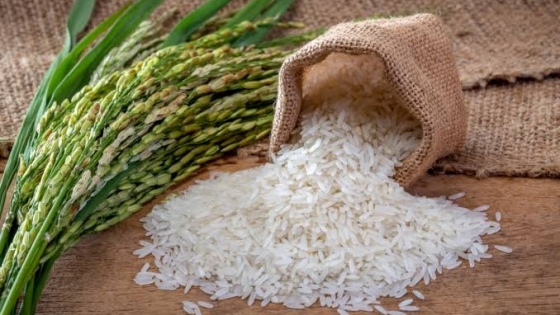 Almacenamiento postcosecha de Arroz