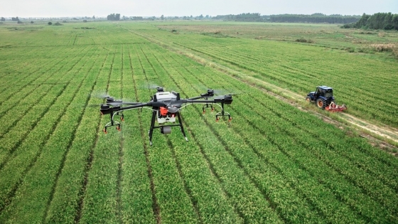 Agricultura Inteligente: 6 Tendencias Emergentes que las Empresas de Tecnología Agrícola Deben Tener en Cuenta