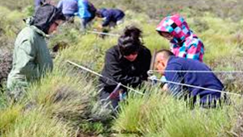 Pérdida de biodiversidad en tres sectores de Monte de riberas en un tramo del río Lorohuasi afectados por disturbios
