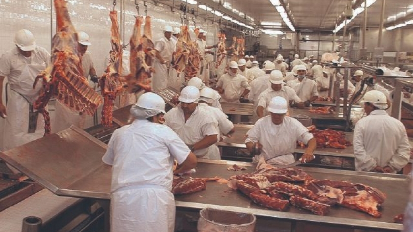 Cae la producción de carne
